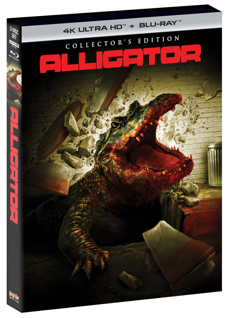 Alligator