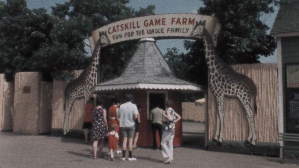 American Zoo