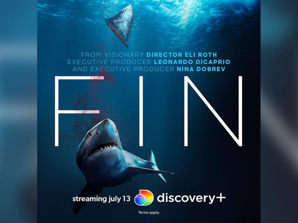 Fin